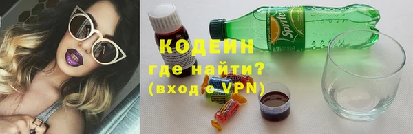 таблы Бородино