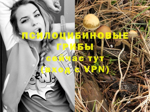 таблы Бородино