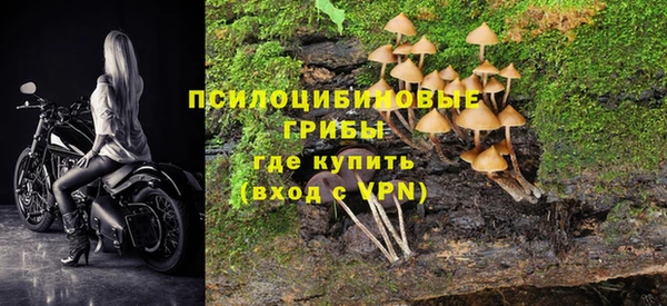 МДПВ Бронницы