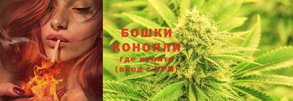 таблы Бородино