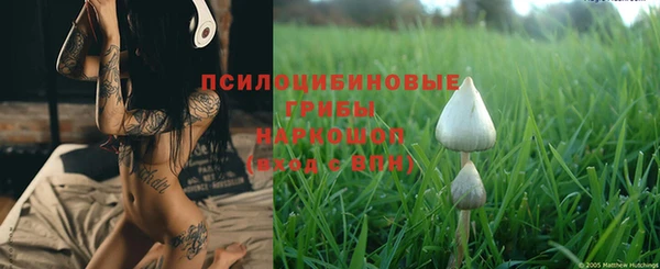 МДПВ Бронницы