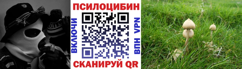 Псилоцибиновые грибы Magic Shrooms  Прокопьевск 